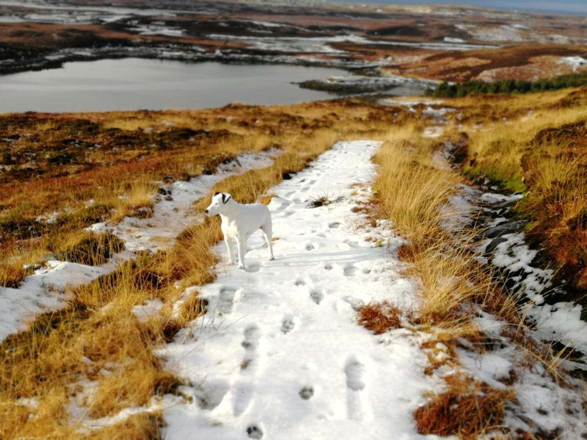 The Fisherman'S Snug Self Catering North Uist Paible 외부 사진