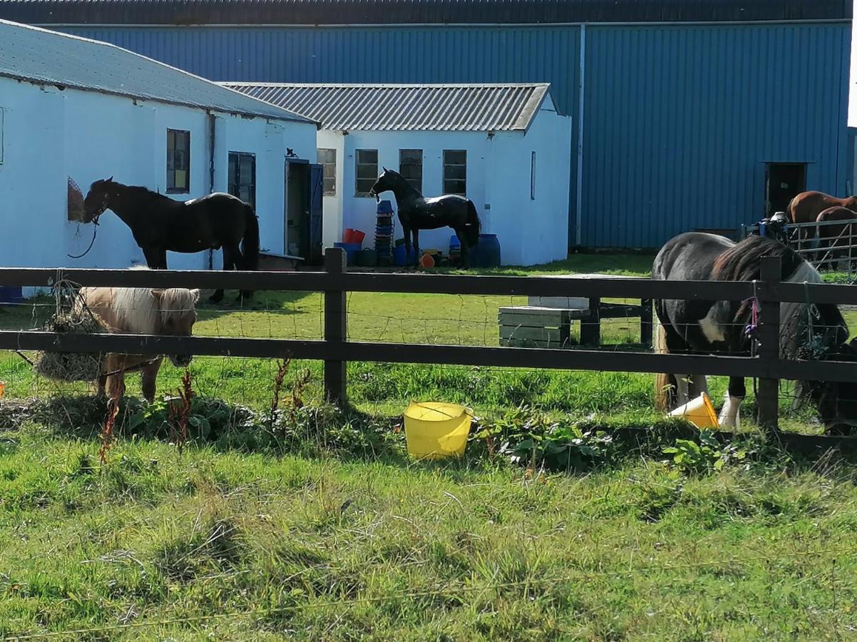 The Fisherman'S Snug Self Catering North Uist Paible 외부 사진