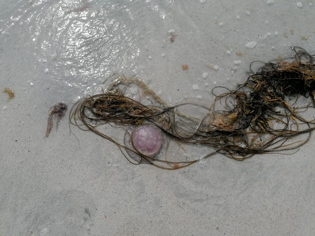 The Fisherman'S Snug Self Catering North Uist Paible 외부 사진