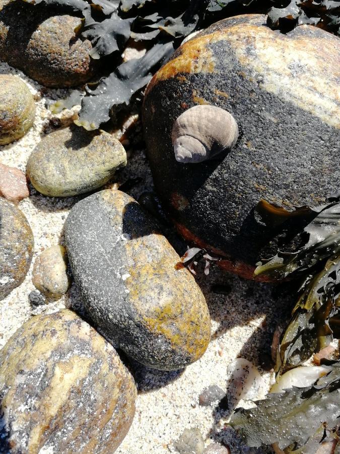 The Fisherman'S Snug Self Catering North Uist Paible 외부 사진