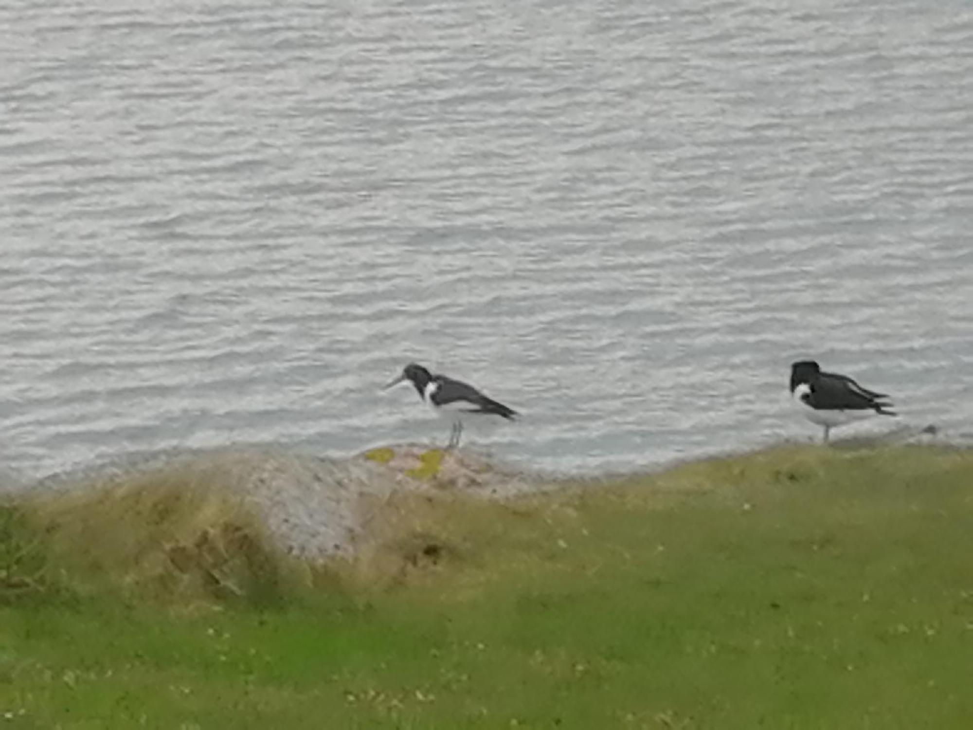 The Fisherman'S Snug Self Catering North Uist Paible 외부 사진