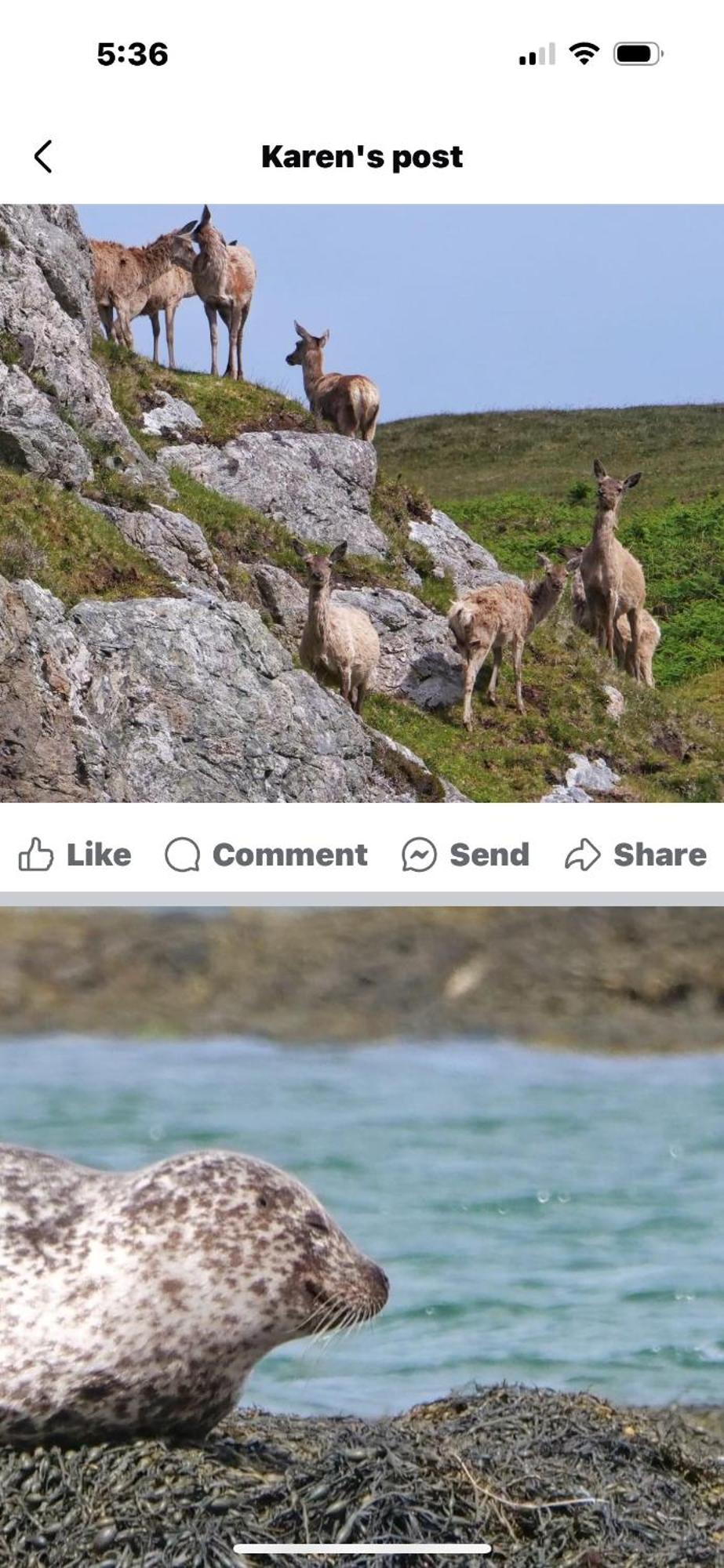 The Fisherman'S Snug Self Catering North Uist Paible 외부 사진